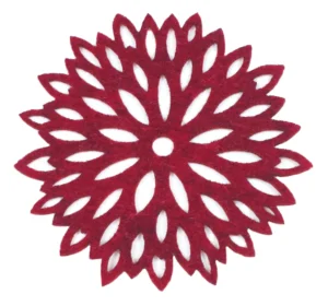 Aster 10cm