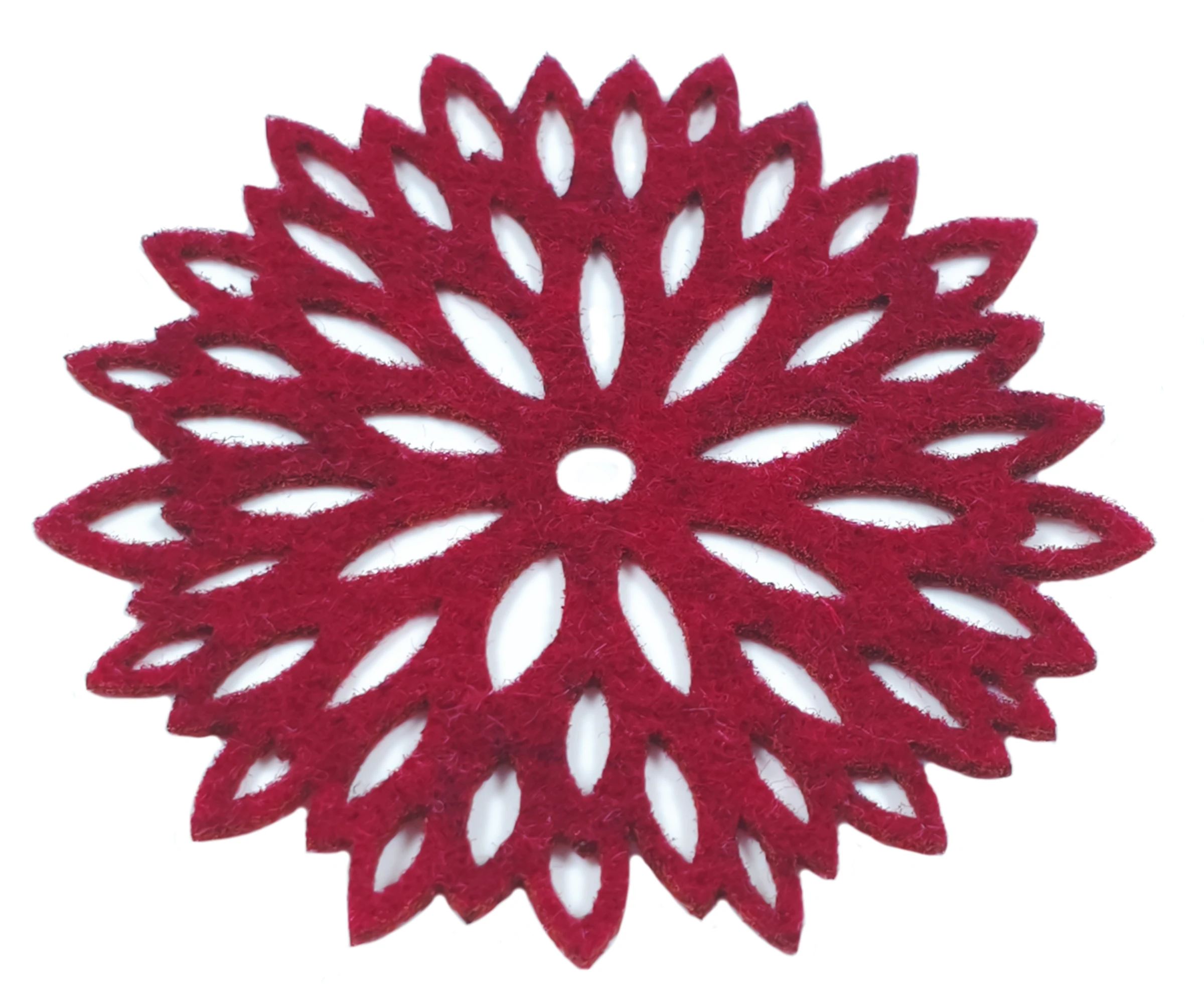 Aster 10cm - obrazek 2