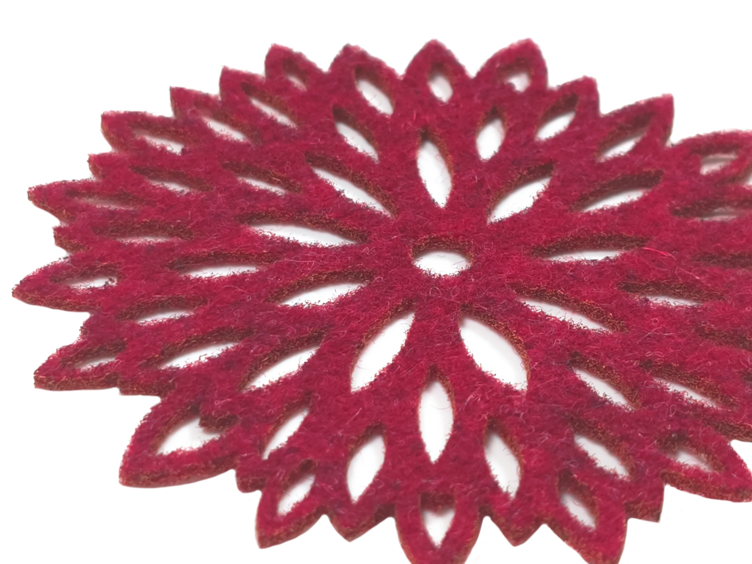 Aster 10cm - obrazek 3
