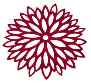 Aster Serweta Wełna Naturalna