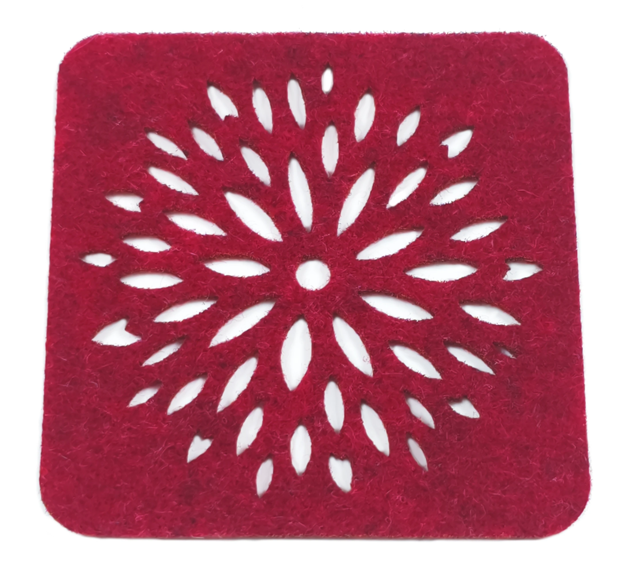 Kwadrat Aster 10cm